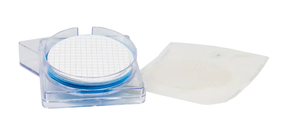 Karışık Selüloz Ester Membran Filtre, Hidrofilik, Beyaz, Non-steril, Izgaralı, Düz Daire, 0,45 μm, 47 mm, 100 adet/paket