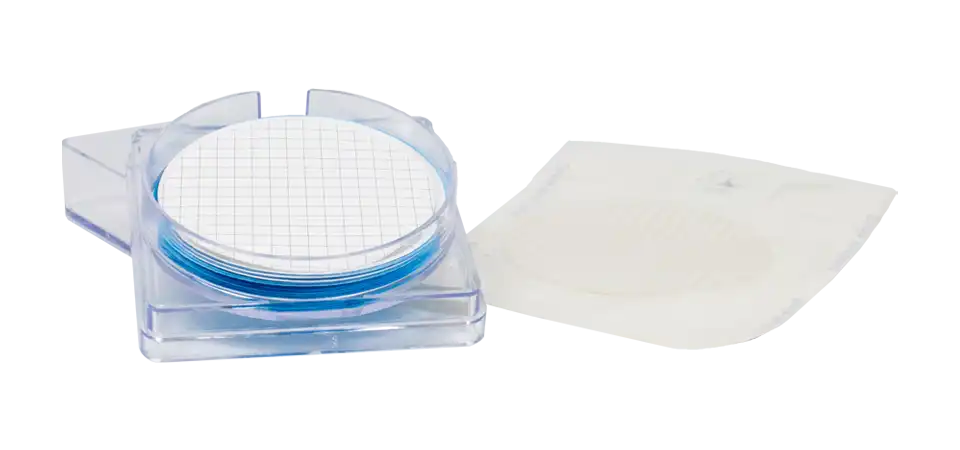 Karışık Selüloz Ester Membran Filtre, Hidrofilik, Beyaz, Non-steril, Düz Daire, 0,2 μm, 50 mm, 100 adet/paket