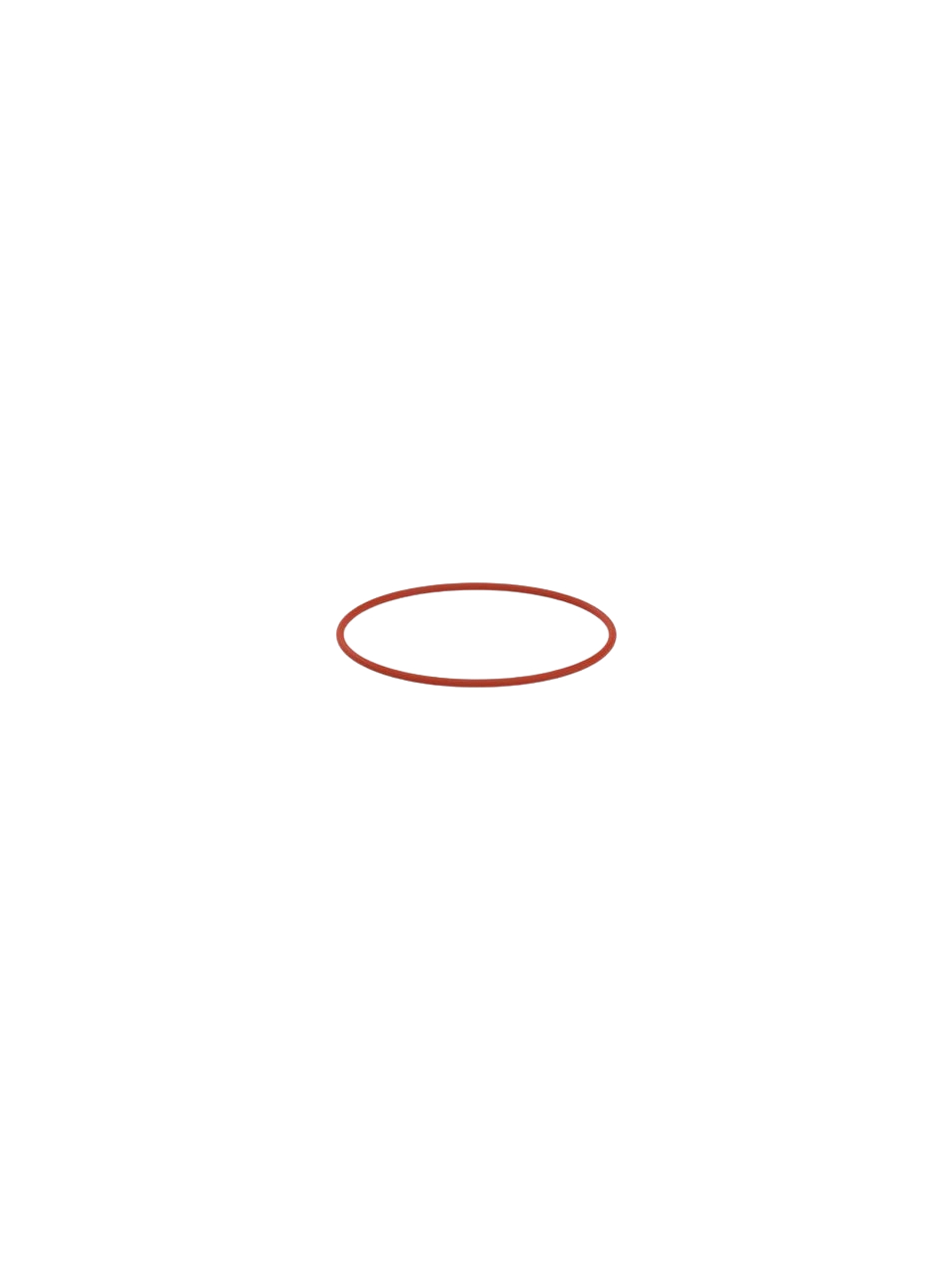 O-Ring, SY 100, FEP Kaplı, 100-250-500-1000 ml IKA EasySyn Sentez Reaktör Hazneleri İçin, DN 100 Flanş Ölçüleri, -60°C-200°C Sıcaklık Aralığı