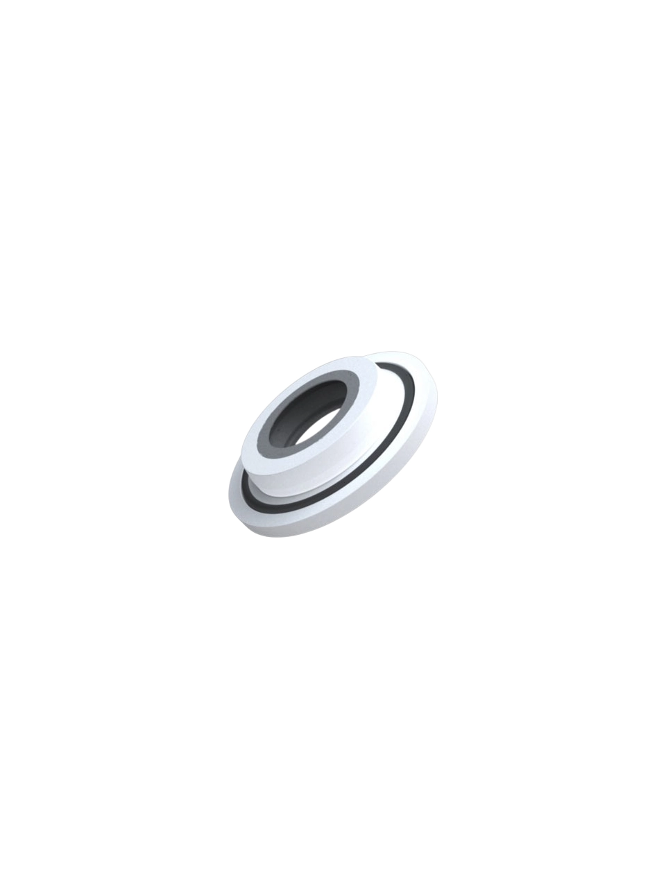 Sealing Gasket, RV 10.8001, for Rotary Evaporators