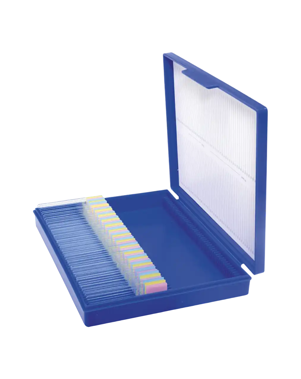 Slide Box, P.P, 25 Slide Capacity, with Hinged Lid, with Plastic Lock, White