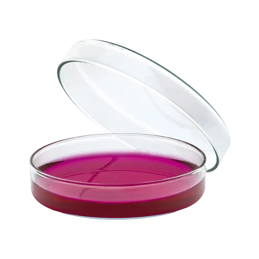 Petri Dishes, Glass, 60 mm Diameter, 15 mm Height, 18 pcs/pack