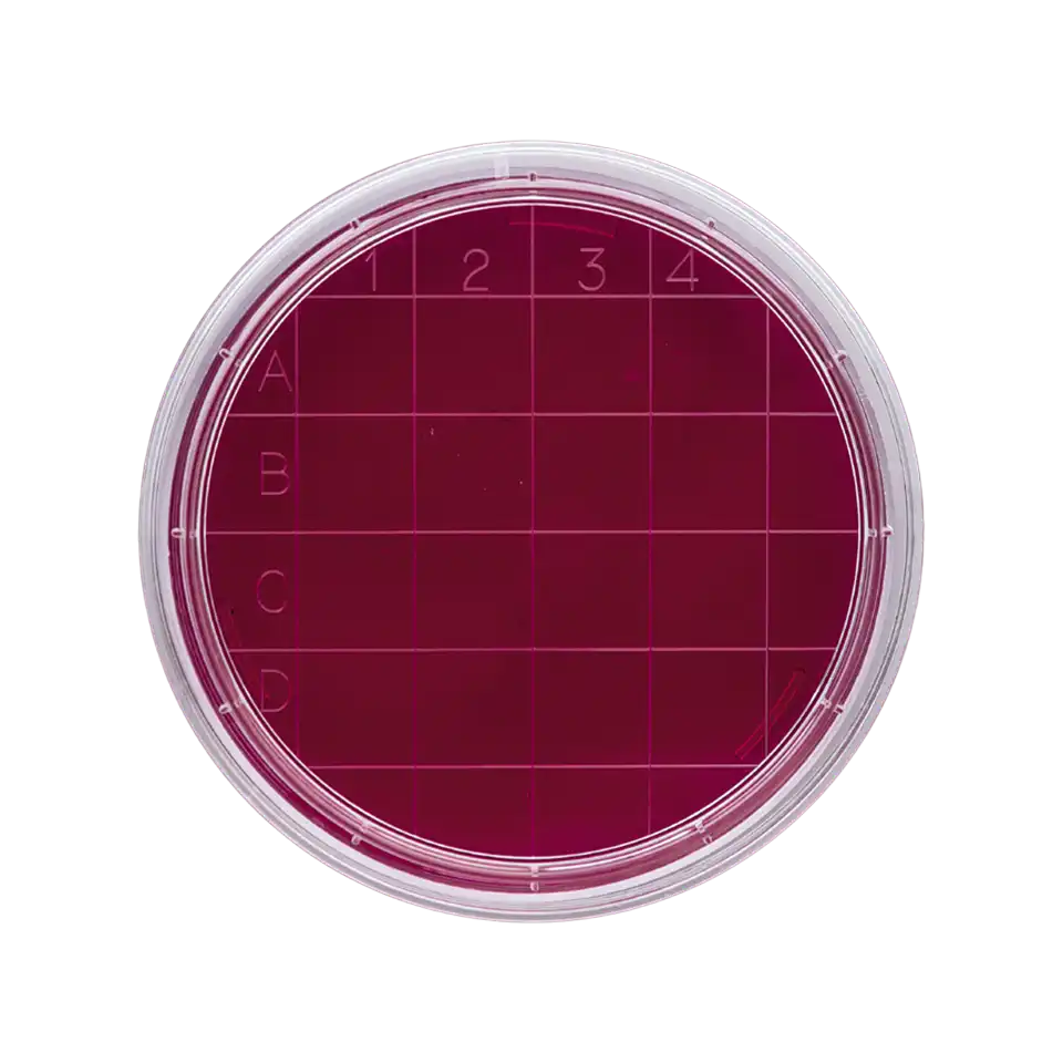 Petri Dishes, P.S, Rodac, 66 mm Diameter, 15 mm Height, 1 Section, Aseptic Sterile, 500 pcs/pack