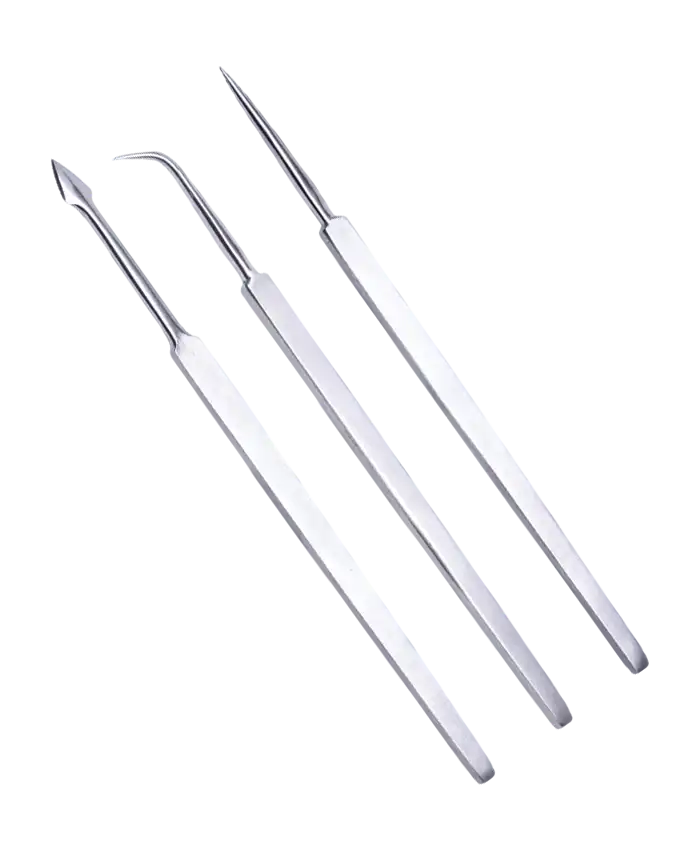 Dissecting Needle Set, Stainless Steel Tip, 3-Piece Set of Needle with Straight-Curved-Spearhead Tips
