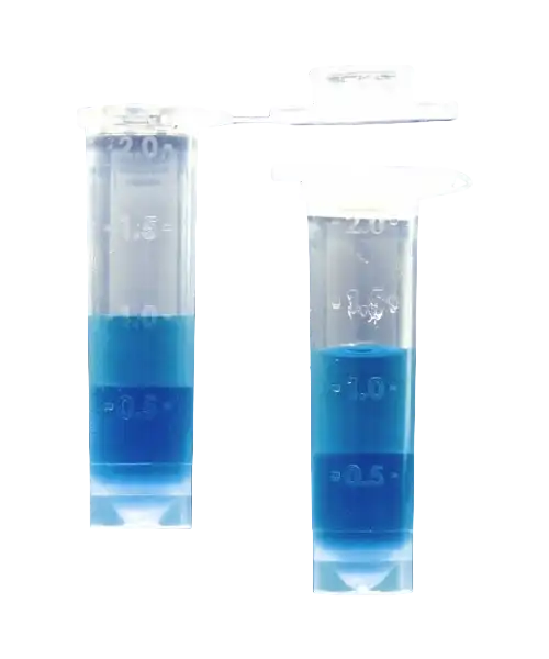 Microcentrifuge (Eppendorf) Tube, P.P, Flat Cap, 2,0 ml Volume, with Skirt, Autoclavable, Sterile, 500 pcs/pack