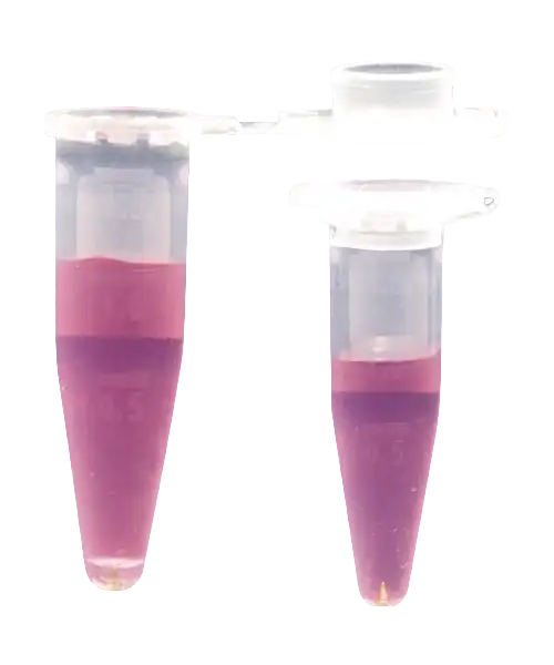 Microcentrifuge (Eppendorf) Tube, P.P, Flat Cap, 0,5 ml Volume, W/O Skirt, Autoclavable, Sterile, 500 pcs/pack